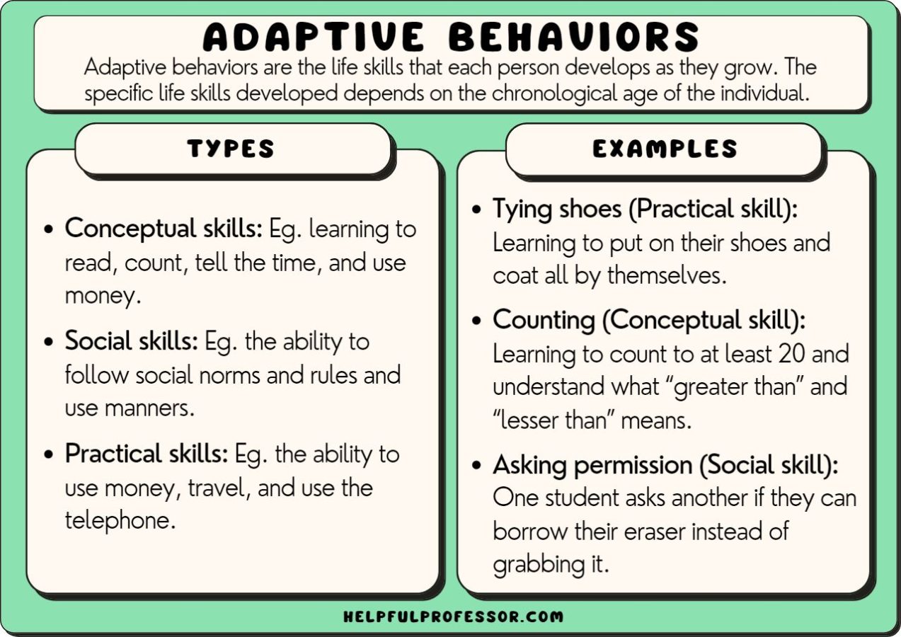 What is Adaptive Behavior? - Horizon Project INC