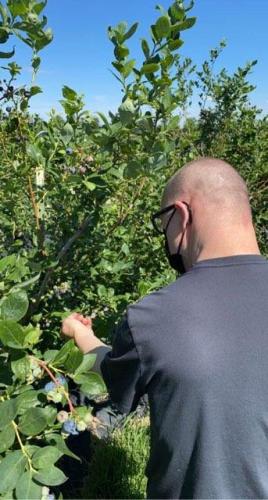 July/2022 -Picking fruits - IMG952426